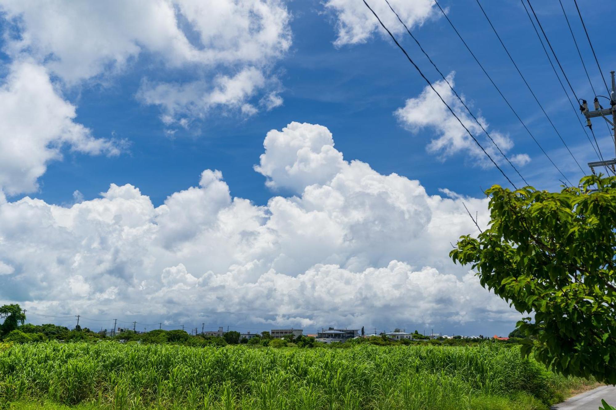 Ada Garden Hotel Okinawa Kunigami Kültér fotó